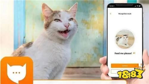 貓品種識別app，貓品種識別app有哪些pp助手識貓品種app 貓品種識別app，貓品種識別app有哪些pp助手識貓品種app 龍魚百科 第7張