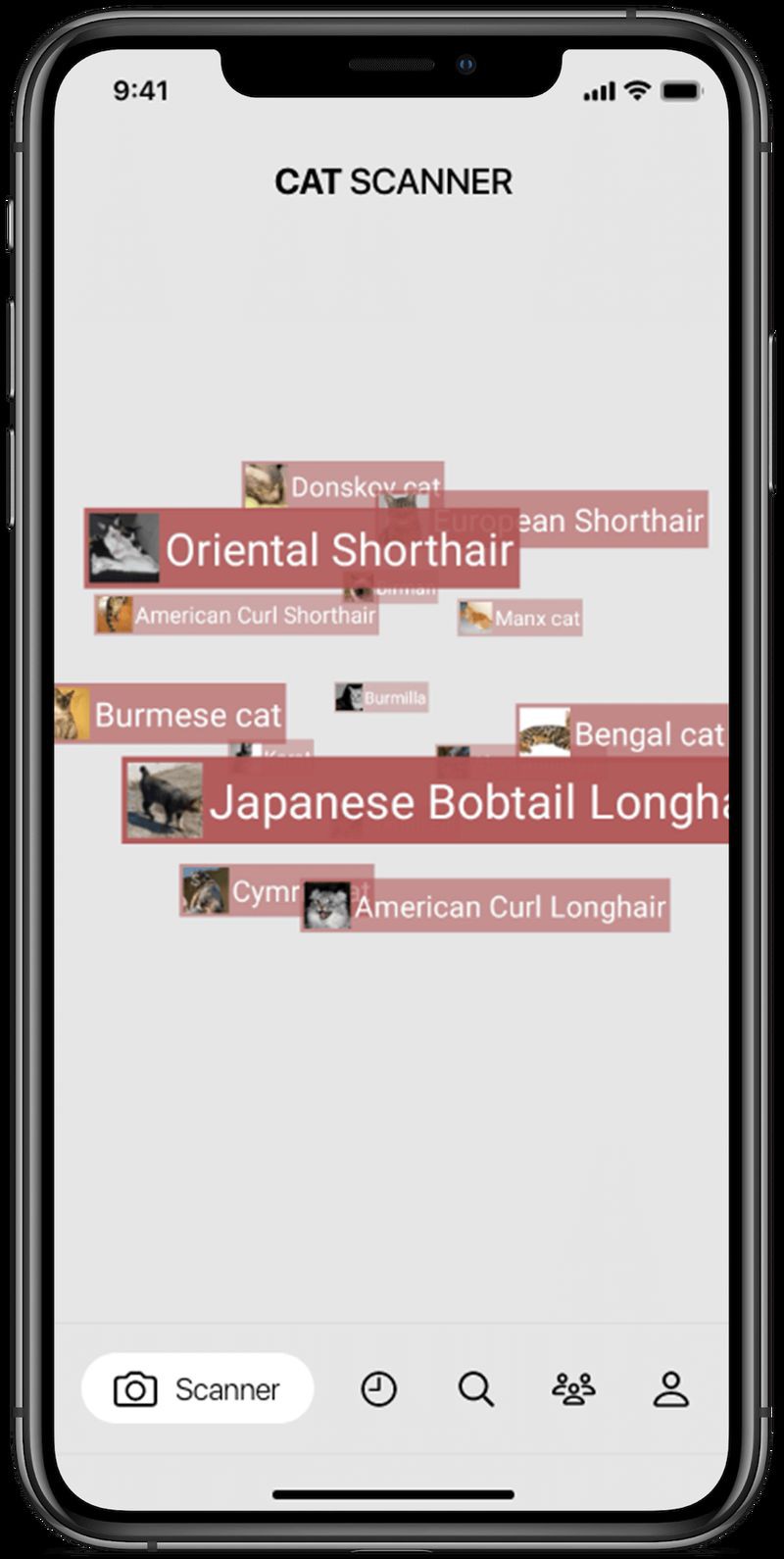 貓品種識別app，貓品種識別app有哪些pp助手識貓品種app 貓品種識別app，貓品種識別app有哪些pp助手識貓品種app 龍魚百科 第1張