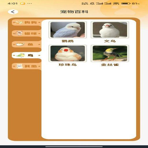 貓品種識別app，貓品種識別app有哪些pp助手識貓品種app 貓品種識別app，貓品種識別app有哪些pp助手識貓品種app 龍魚百科 第3張