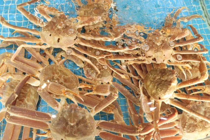 湘陰龍魚店，湖南人私藏的海鮮食堂，一口就淪陷！