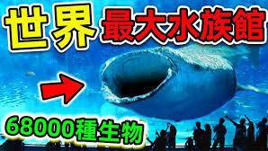 世界水族館排名一覽表，世界最大的水族館排名