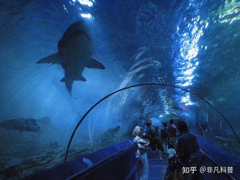 世界水族館排名一覽表，世界最大的水族館排名