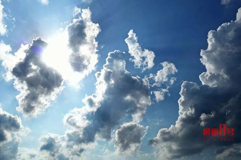 柳州水族批發市場，柳州各大批發市場全攻略