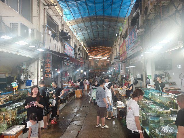 柳州水族批發市場，柳州各大批發市場全攻略