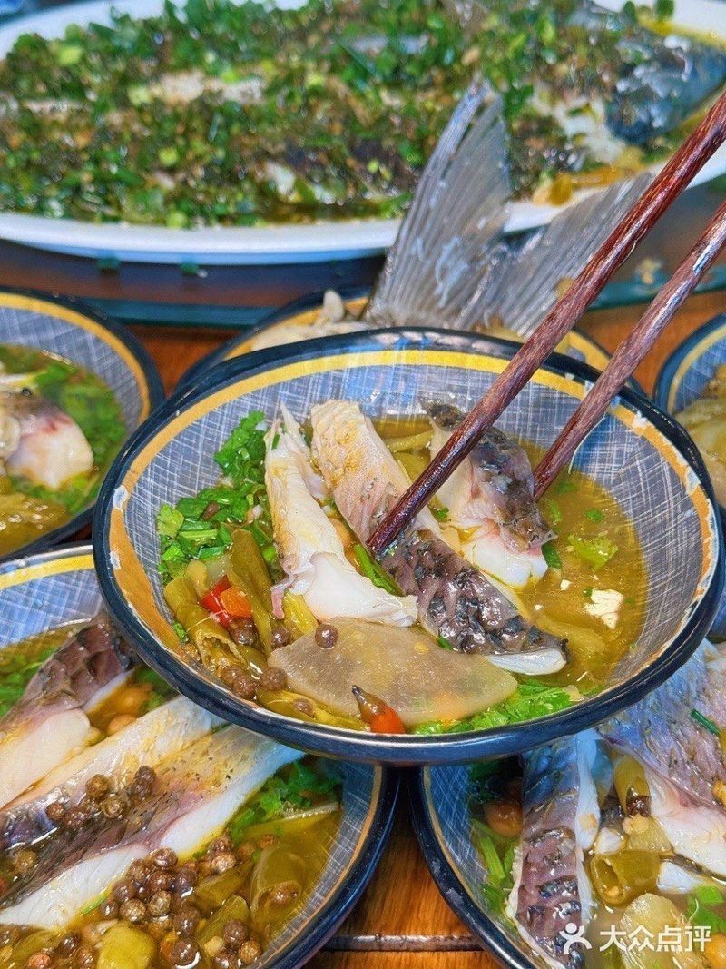 江津龍魚店，江津龍魚店哪家口碑最好