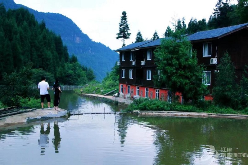 江津龍魚店，江津龍魚店哪家口碑最好
