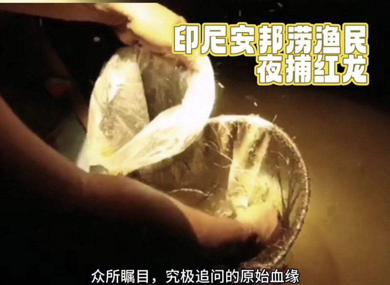 印尼赤紅龍最害怕的三個(gè)地方，印尼赤紅龍最害怕的三個(gè)地方，一百多年前嚇退逃犯科學(xué)大院