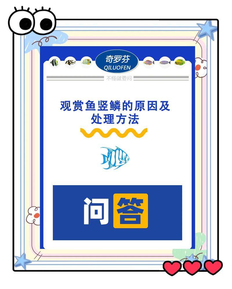 豎鱗病對觀賞魚的影響有哪些？，豎鱗病對觀賞魚的影響