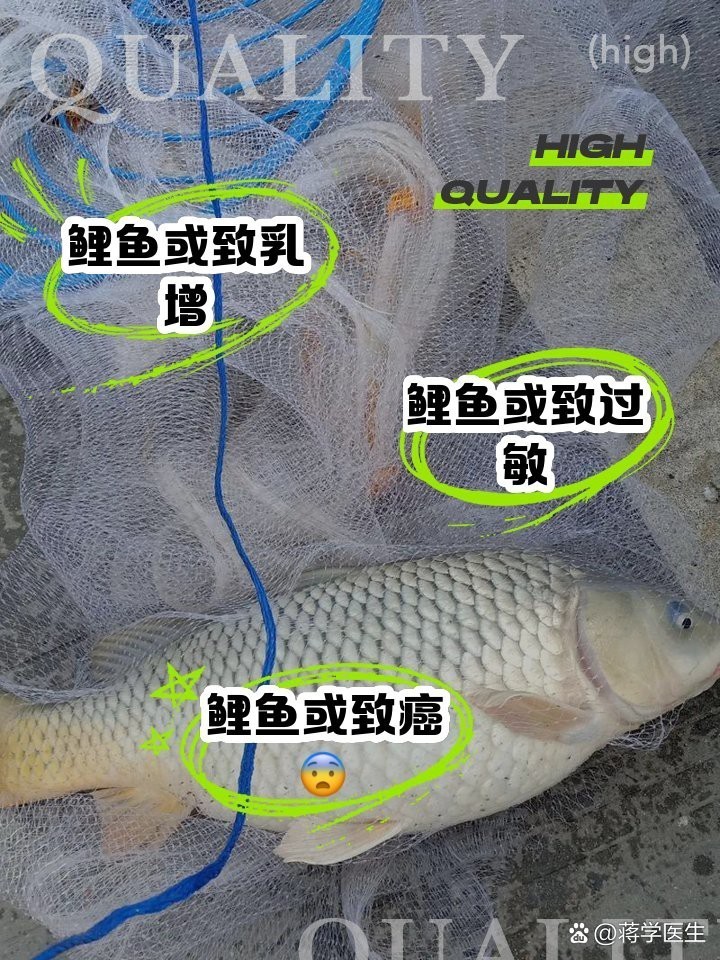 七紋巨鯉魚為何要少吃，七紋巨鯉魚為何要少吃七紋巨鯉魚被視為\