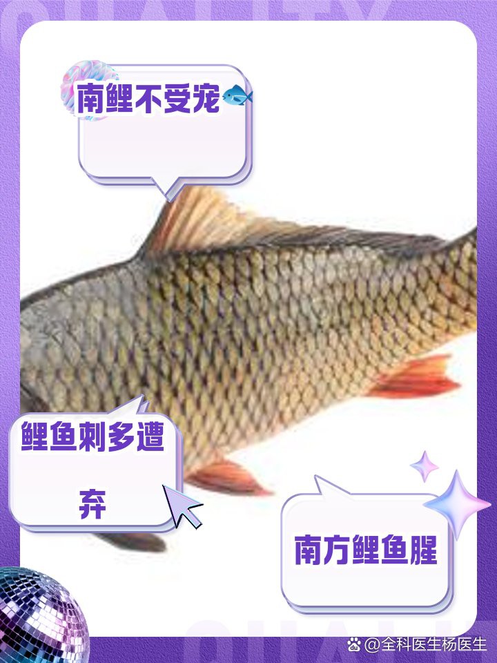 七紋巨鯉魚為何要少吃，七紋巨鯉魚為何要少吃七紋巨鯉魚被視為\