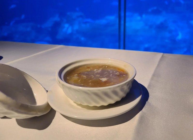 香港水族店，香港水族館之旅