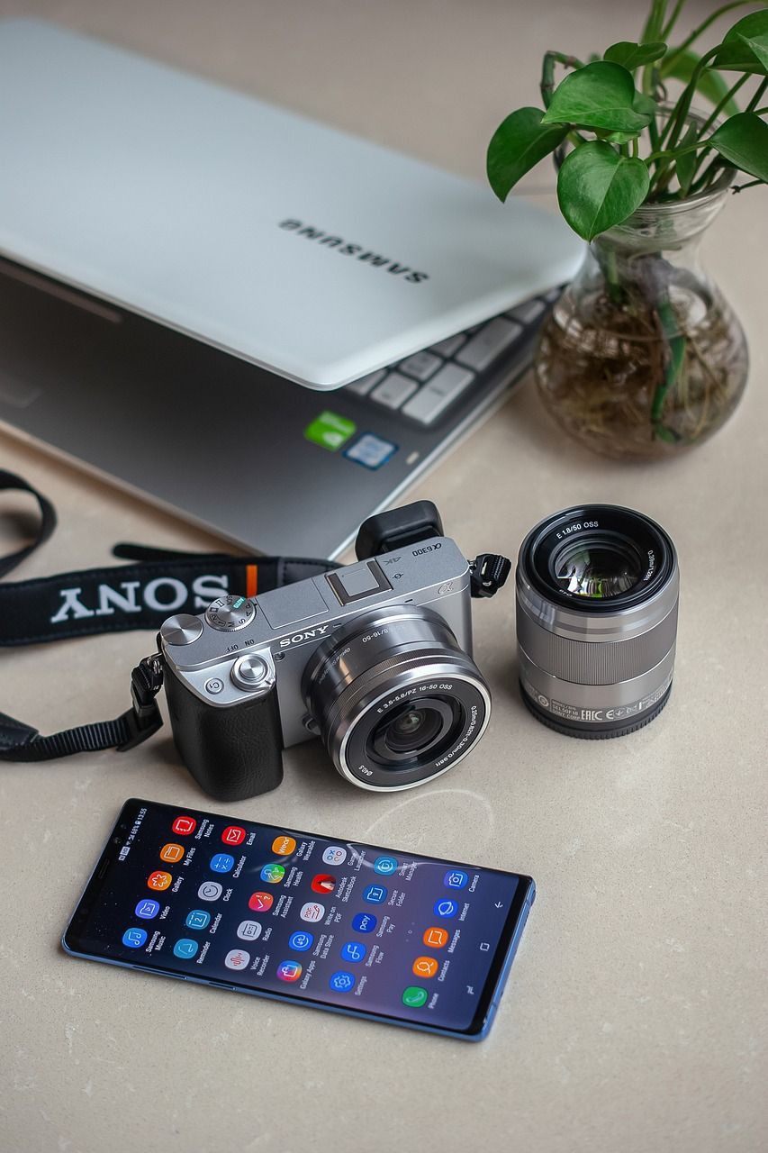 香港水族店，香港水族館之旅