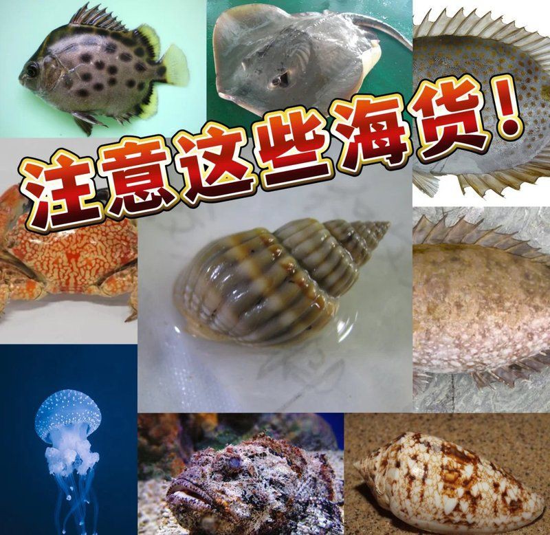 廣東近海十大毒魚，廣東近海十大毒魚及其毒性特征、分布與危害