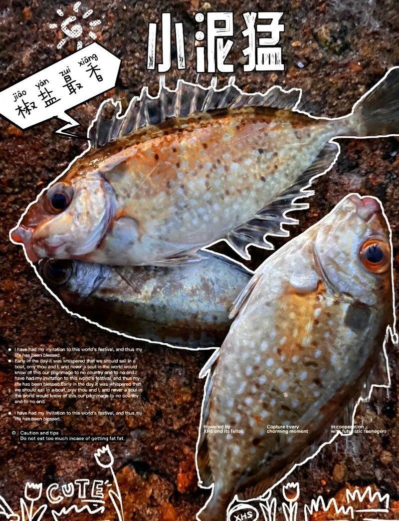 廣東近海十大毒魚，廣東近海十大毒魚及其毒性特征、分布與危害