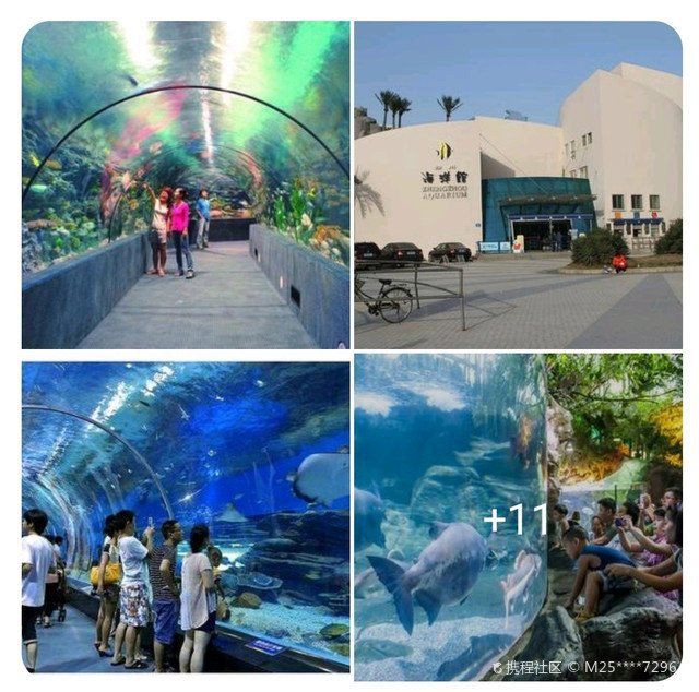 鄭州水族店，鄭州海洋水族館探秘之旅百度教育鄭州海洋館探秘之旅