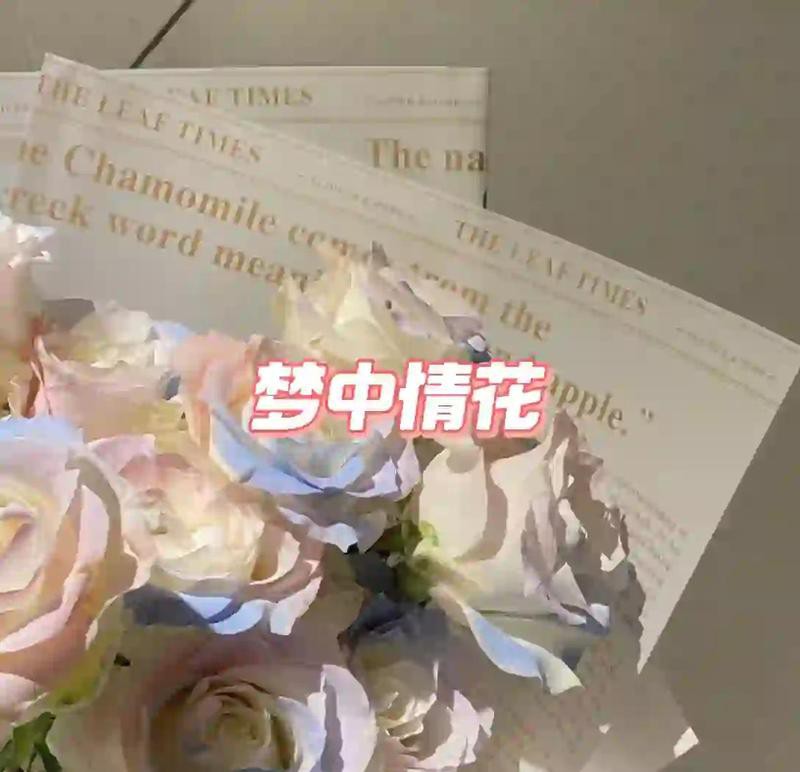 人魚姬玫瑰廉價(jià)嗎，人魚姬玫瑰永生花姬玫瑰永生花姬玫瑰永恒夢(mèng)境