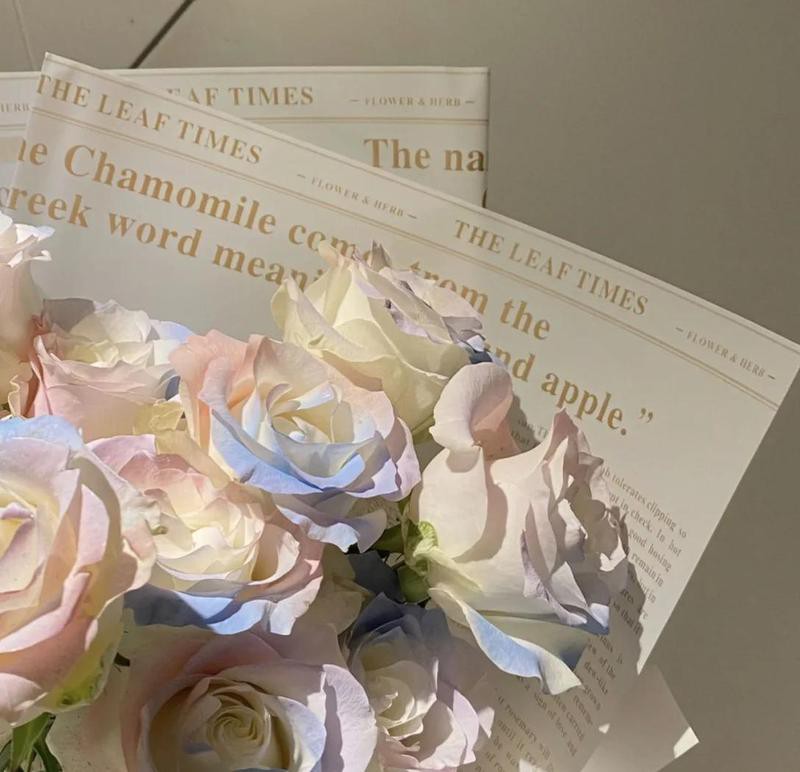 人魚姬玫瑰廉價(jià)嗎，人魚姬玫瑰永生花姬玫瑰永生花姬玫瑰永恒夢(mèng)境