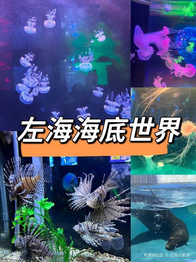 福州水族館，探秘福州左海海底