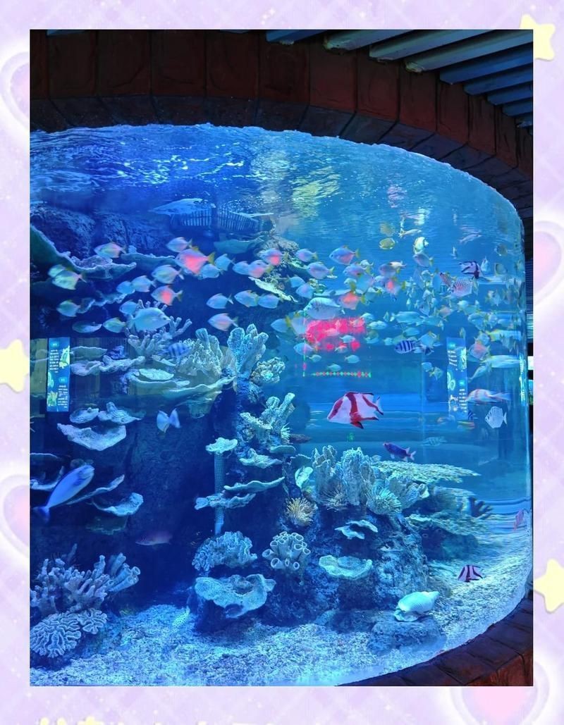 福州水族館，探秘福州左海海底