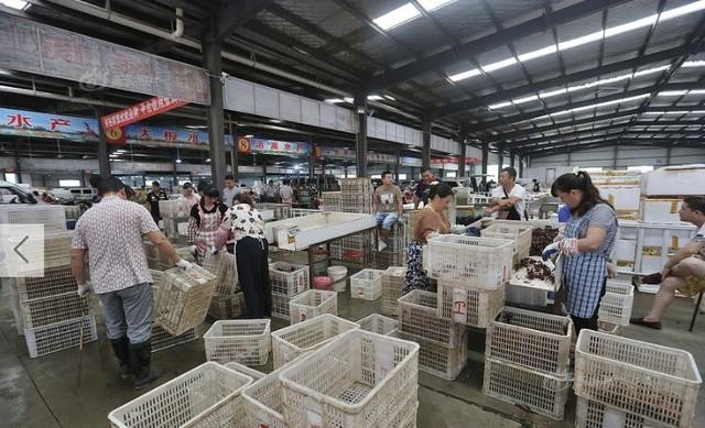 全國最大龍蝦批發市場，全國最大龍蝦批發市場——