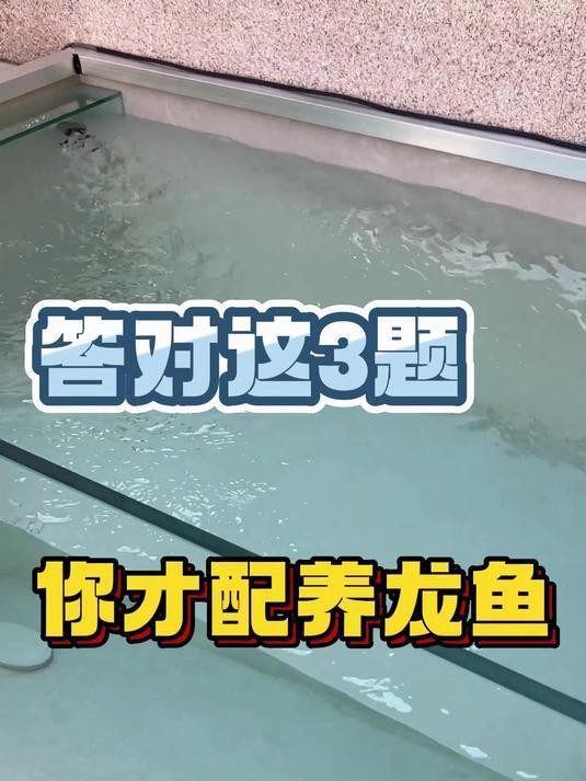 如何檢測水質是否適合龍魚孵化？，如何檢測水質是否適合龍魚孵化
