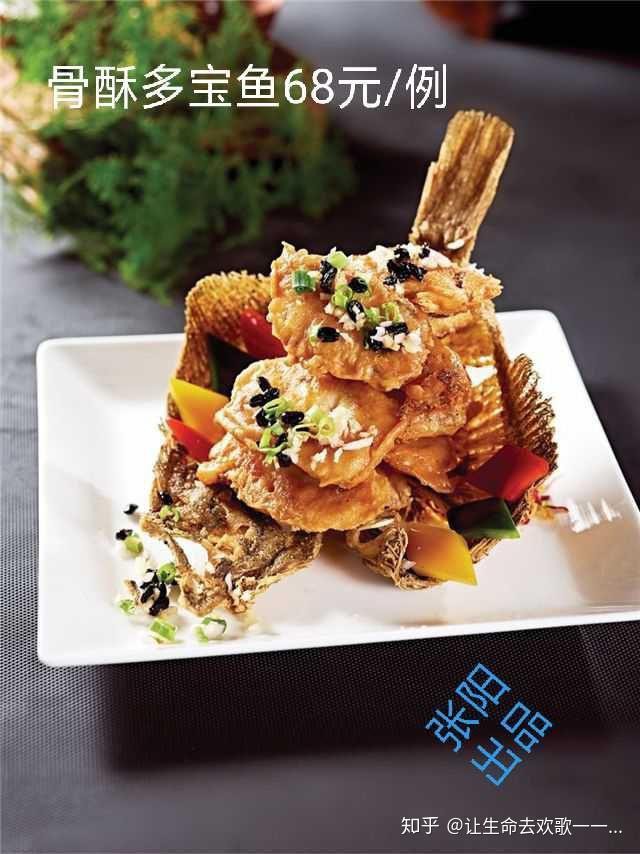 宣化龍魚店，宣化有哪些知名的龍魚店？