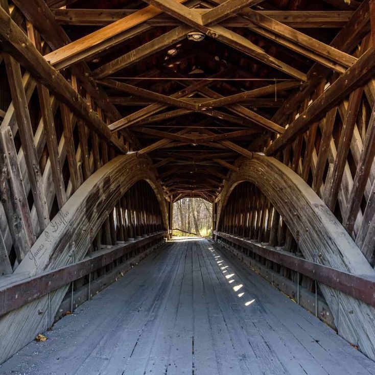 招財轉運魚圖片，《招財轉運魚圖片》