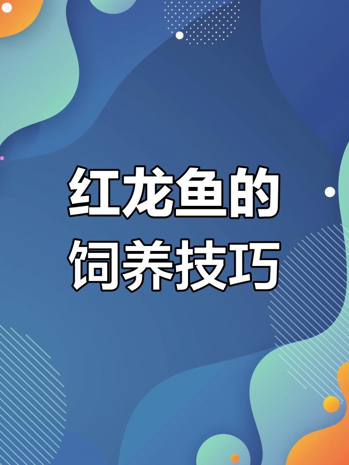 印尼紅龍魚養殖成本有多高？，印尼紅龍魚養殖成本
