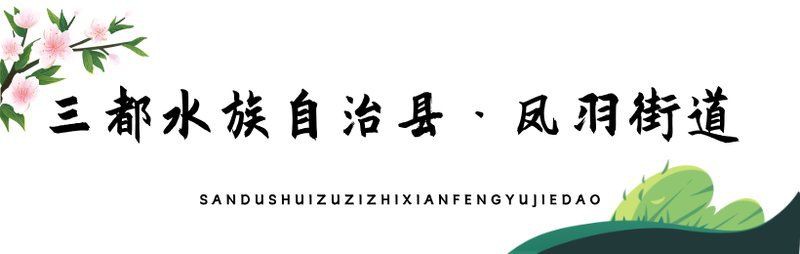 黔南布依族苗族自治州水族店，黔南布依族苗族自治州作為水族主要聚居地其水族文化及相關商業形態具有鮮明的地域特色