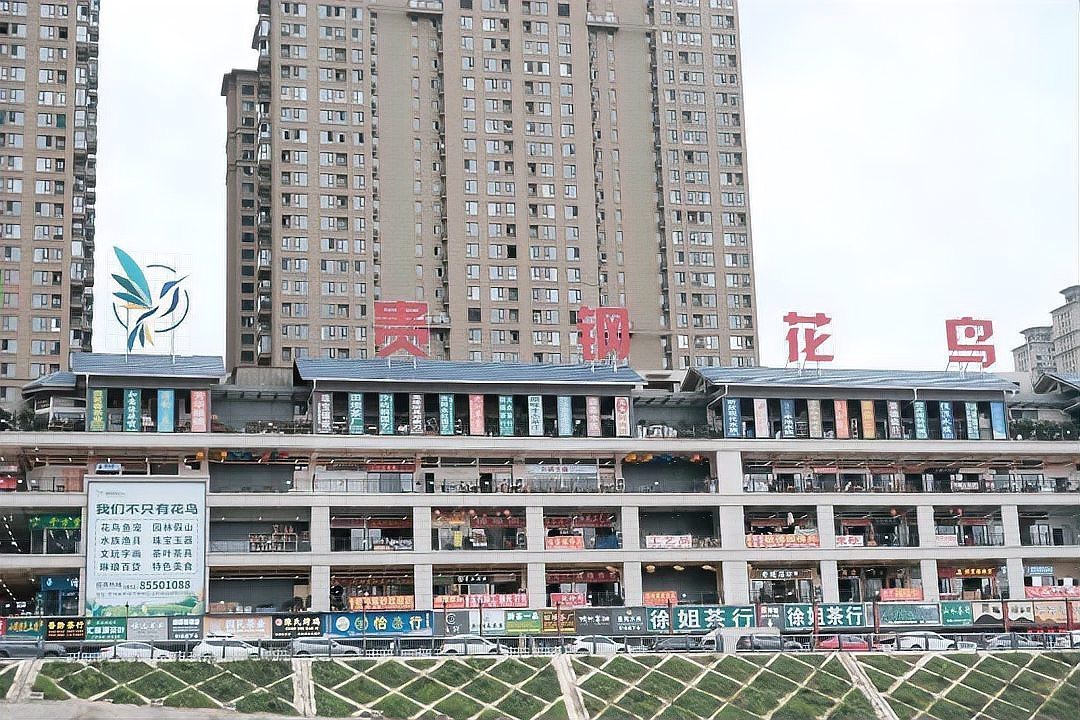 巴宜水族店，巴宜水族店的營業(yè)時間是巴宜水族店有哪些特色產(chǎn)品