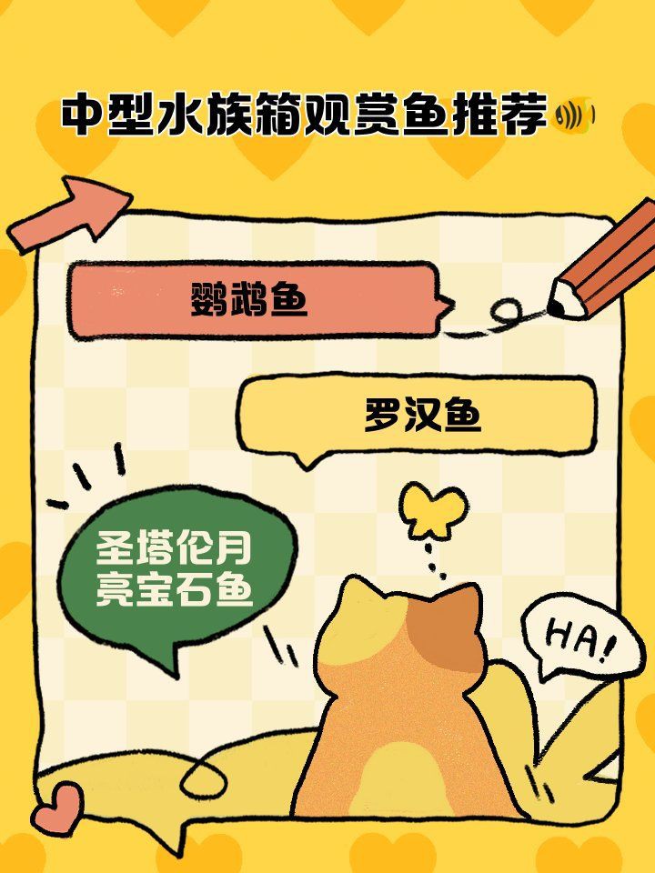 馬拉莫寶石喜歡弱酸性水質(zhì)嗎，馬拉莫寶石魚偏好弱酸性水質(zhì)ph值介于6到7之間