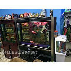 蘇州魚缸定做，蘇州大型魚缸定做-蘇州佳家水族工程有限公司 蘇州魚缸定做，蘇州大型魚缸定做-蘇州佳家水族工程有限公司 全國水族館企業名錄 第2張