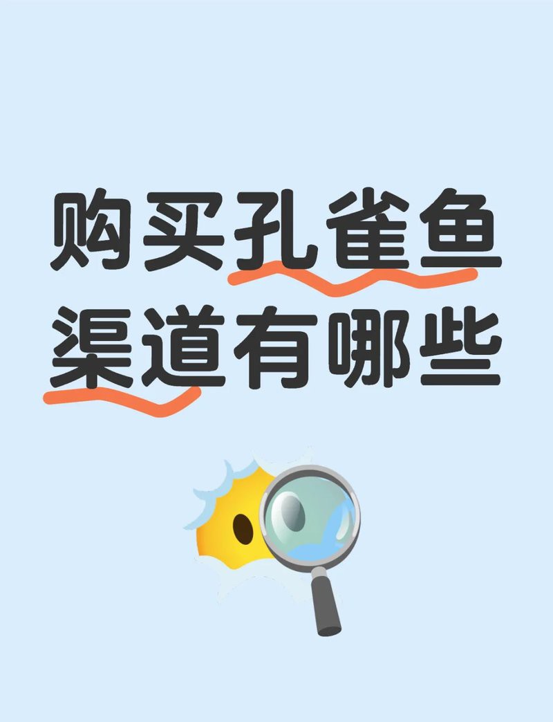 買觀賞魚在哪個平臺買比較好，網上買觀賞魚哪個平臺好