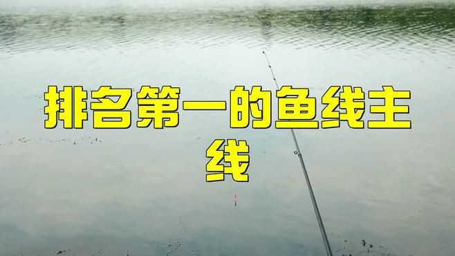 十大名牌魚線主線，2025年釣魚主線十大名牌魚線主線品牌排行榜
