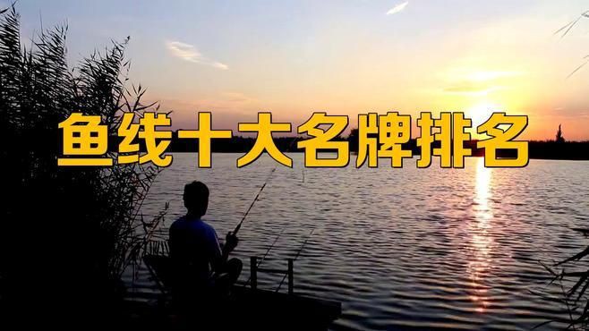 十大名牌魚線主線，2025年釣魚主線十大名牌魚線主線品牌排行榜