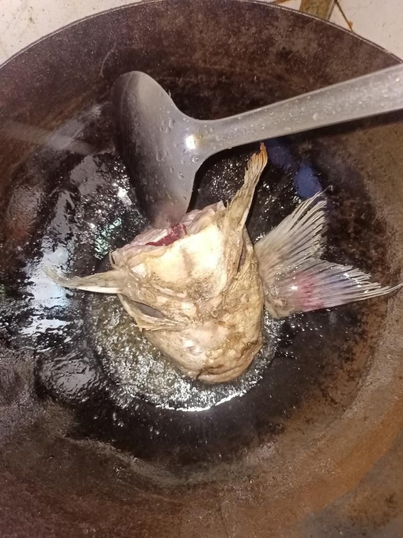 回龍魚照片，“回龍魚照片”主題聚焦于展示龍魚獨(dú)特的形態(tài)與美感