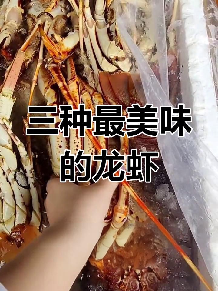 紅龍與澳龍的口感差異，墨西哥紅龍與澳龍的差異解析紅龍與澳龍的區(qū)別科學知行