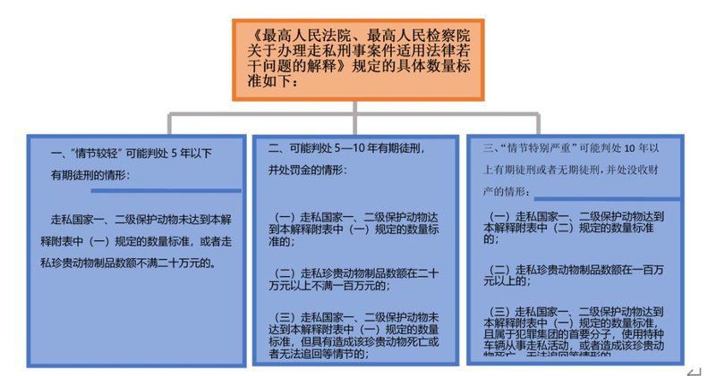 海象肉可以吃嗎，海象肉是否可食用