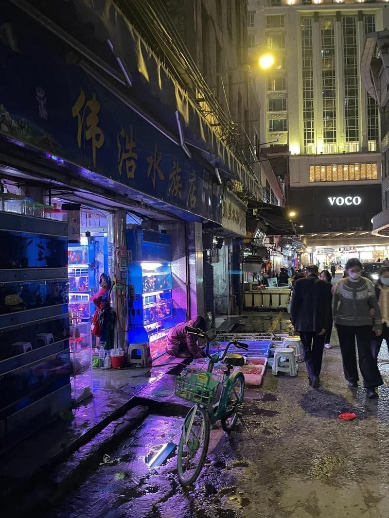 古城水族店，麗江古城區魚來魚好水族店轉型路:夫妻檔的半生闖蕩