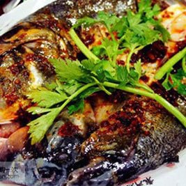 渝北龍魚店，渝北龍魚店哪家口碑最好