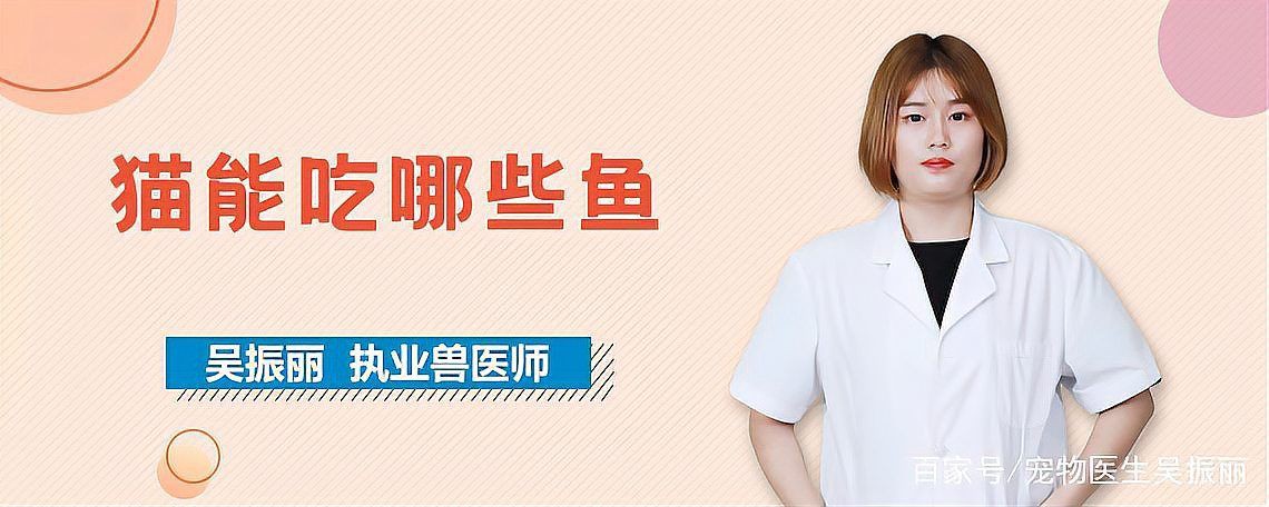 貓最愛吃的魚前十名，貓咪最愛吃的10種魚類前十名貓咪最愛吃哪些魚尾巴搖搖屋