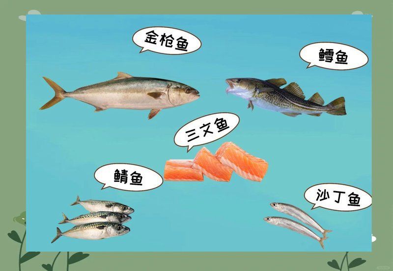 貓最愛吃的魚前十名，貓咪最愛吃的10種魚類前十名貓咪最愛吃哪些魚尾巴搖搖屋