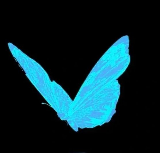 廣告牌維修師傅，《廣告牌維修師傅》