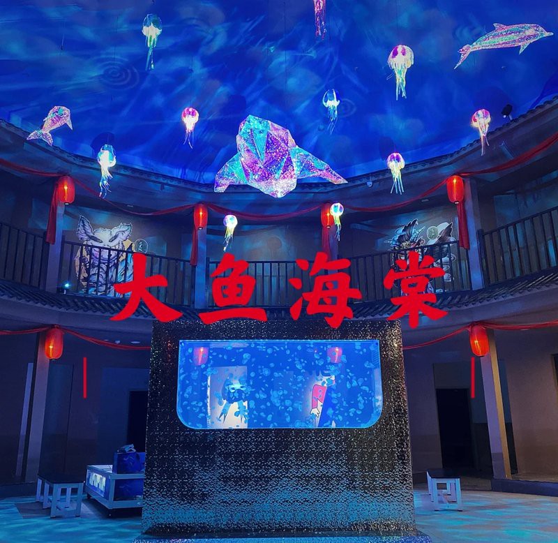 拱墅水族店，拱墅區有哪些特色水族店？