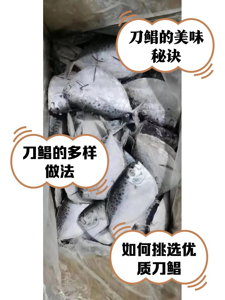 刀鯧魚能吃嗎，25大高嘌呤食物一覽表刀鯧魚寶寶能吃嗎