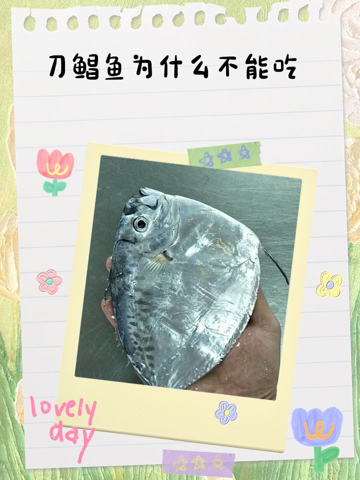刀鯧魚能吃嗎，25大高嘌呤食物一覽表刀鯧魚寶寶能吃嗎