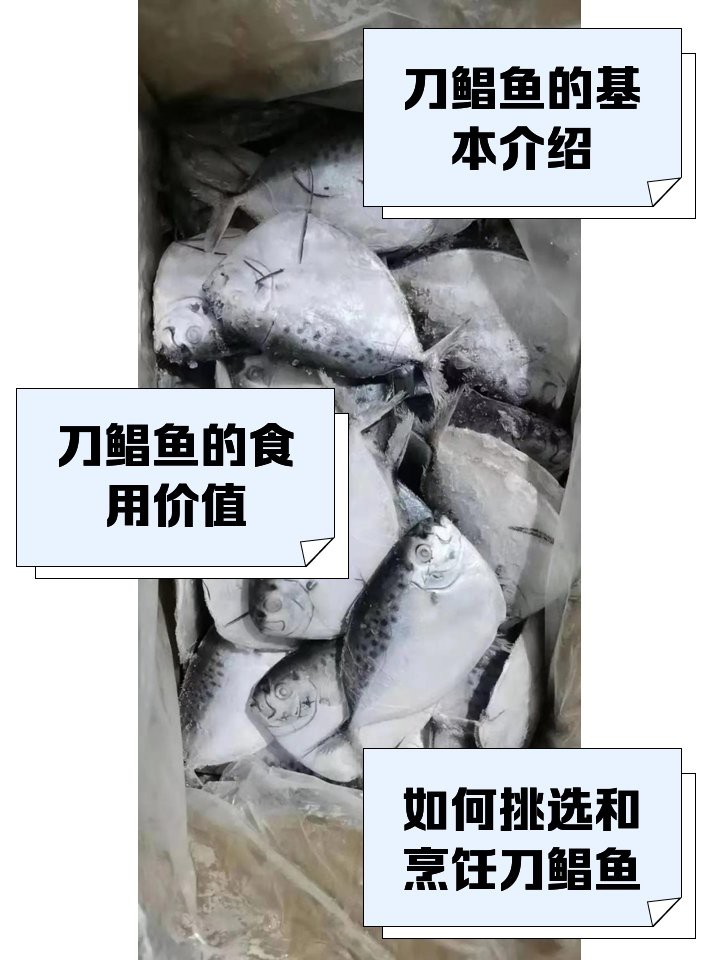 刀鯧魚能吃嗎，25大高嘌呤食物一覽表刀鯧魚寶寶能吃嗎