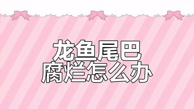 如何判斷龍魚是否感染真菌，龍魚感染真菌怎么辦