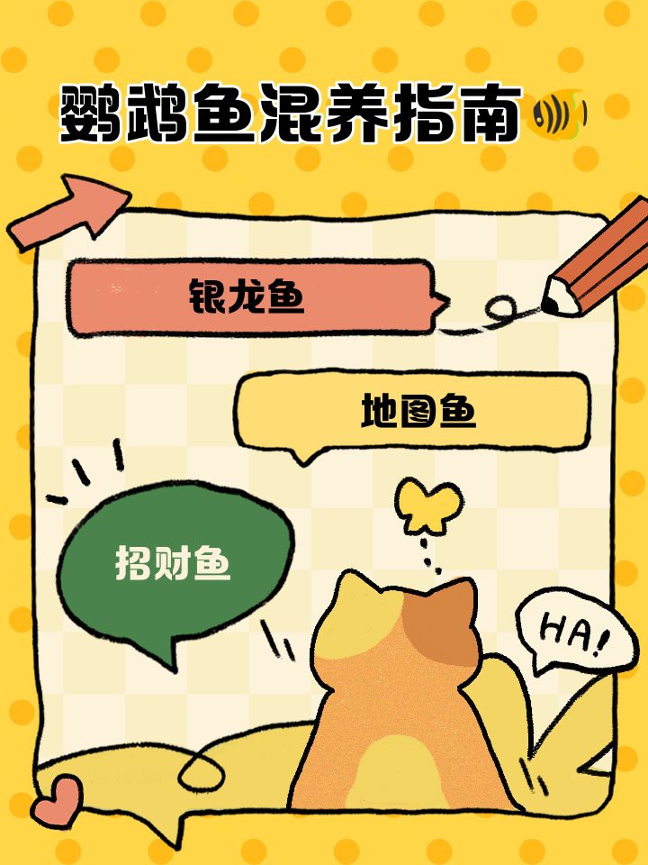 如何設置龍魚和鸚鵡魚混養的水質？，如何設置龍魚和鸚鵡魚混養的水質