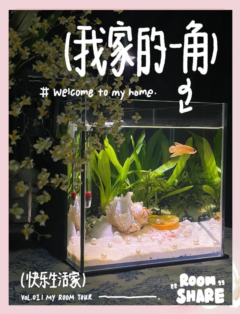 白缸養(yǎng)魚(yú)的裝飾技巧，白缸養(yǎng)魚(yú)的裝飾技巧，6種絕美魚(yú)缸造景全攻略，新手必看